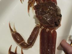 -蟹将军·松叶蟹和牛日料放题自助(K11店)