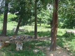 -西安秦岭野生动物园