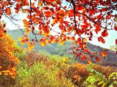 -鬼笑石后山停车场