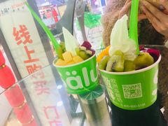 -Salud撒露欧洲冻酸奶(北苑上品店)