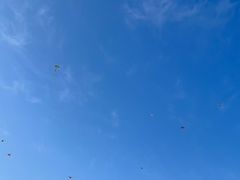 -露天矿生态公园