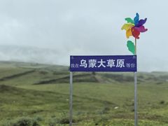-乌蒙大草原