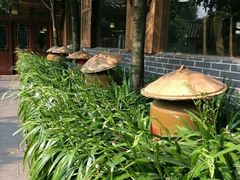 -青城甲(青城山店)