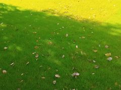 -上海安亭别墅花园酒店