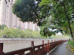 -成都市活水公园
