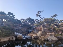 -罗红摄影艺术馆