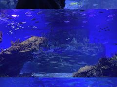 -海合安武汉极地海洋公园