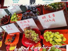 -马陆小张葡萄园农家乐