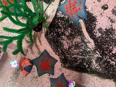 -沈阳海洋探索中心