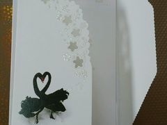 -BLACKSWAN黑天鹅(环球店)