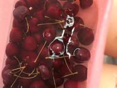 -油麻地果栏