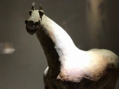 -宁夏博物馆