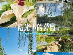 -南翠屏公园