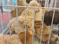 -万达广场(松江店)