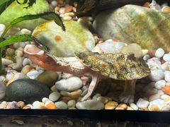 -上海海洋水族馆