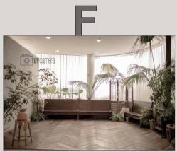 点击看大图 -大树儿童摄影