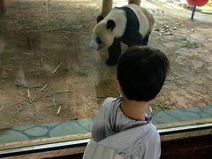 -西霞口神雕山野生动物世界