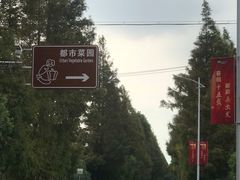 -上海都市菜园