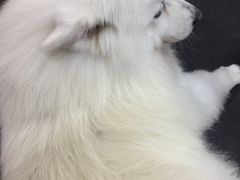 -RoMan罗马健身工作室(莘庄店)