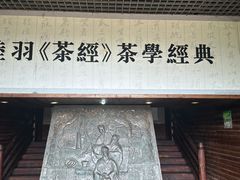 -大唐贡茶院