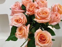 -森野花艺培训·企业团建活动沙龙