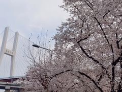 -南浦大桥长途旅游客运站