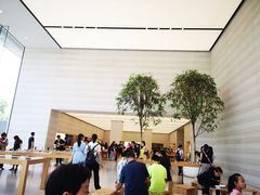 -Apple零售店(济南恒隆广场店)