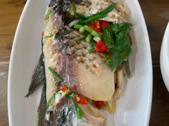 -正荣酒家葱葱鲫鱼