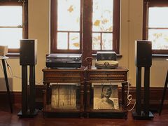 -树懒黑胶唱片店(中山路店)