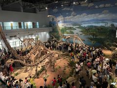 -自贡恐龙博物馆