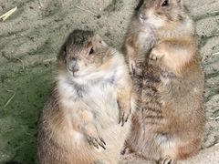 -杭州野生动物世界