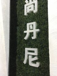 -尚·丹尼Hair