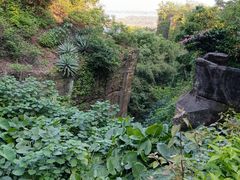-广州莲花山旅游区