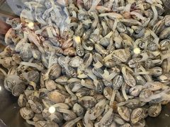 -竹青胶东摔面(黄岛开发区店)