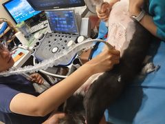 -美迦爱-牙专科·兔科·骨科诊疗中心(北苑店)