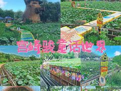 -红山村