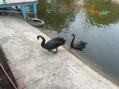 -北京鹿世界主题园