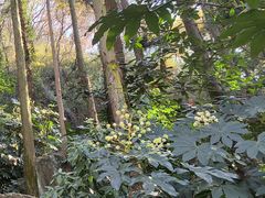 -狼山风景名胜区