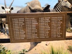 -陕西自然博物馆