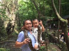 -洛阳白云山景区