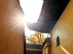 -西园寺素食(西园弄戒幢律寺店)
