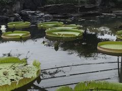 -南通洲际绿博园