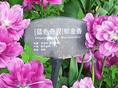 -国家植物园