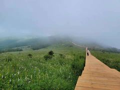 -白草畔自然风景区