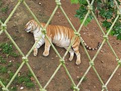 -西霞口神雕山野生动物世界
