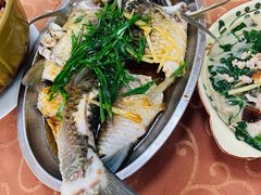 清蒸鲩鱼-幽优农庄·森波拉特色本地农家菜