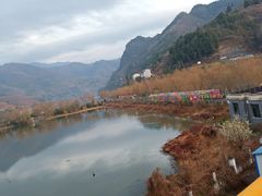 -后柳水乡