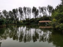 -溱湖国家湿地公园