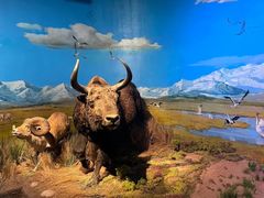 -武汉园博园(武汉自然博物馆)