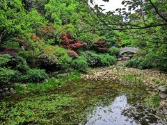 -杭州半山国家森林公园